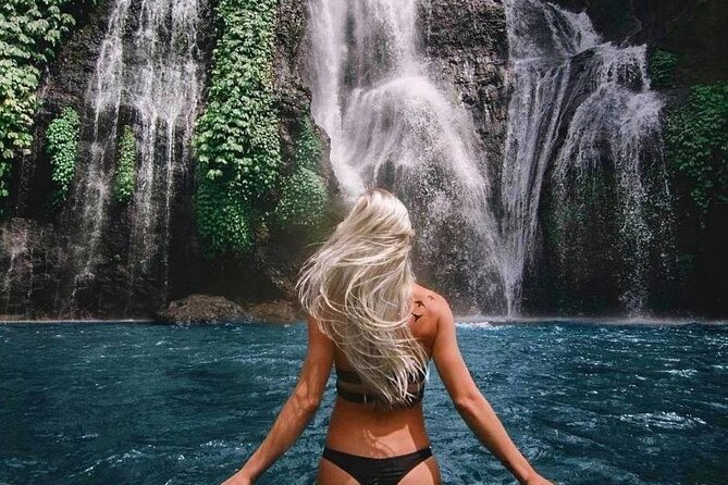 Bali Private Tour: Handara Iconic Gate, Watefall and Temple - Why the northern highlands make a good day trip