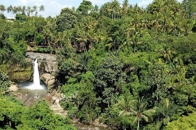 Bali Private Tour: Waterfall, Monkey forest and Tanah lot sunset - What this private Bali day trip does well