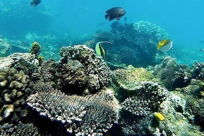 Bali Private Tour: Waterfall, Monkey forest and Tanah lot sunset - Batuan Temple and Bali’s Hindu culture