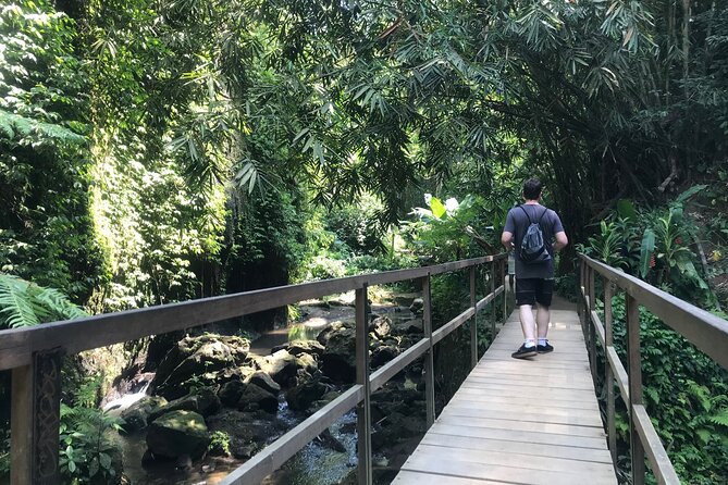Bali Quad Adventure with Waterfall Tour - Tibumana Waterfall: jungle greenery and a quieter finish