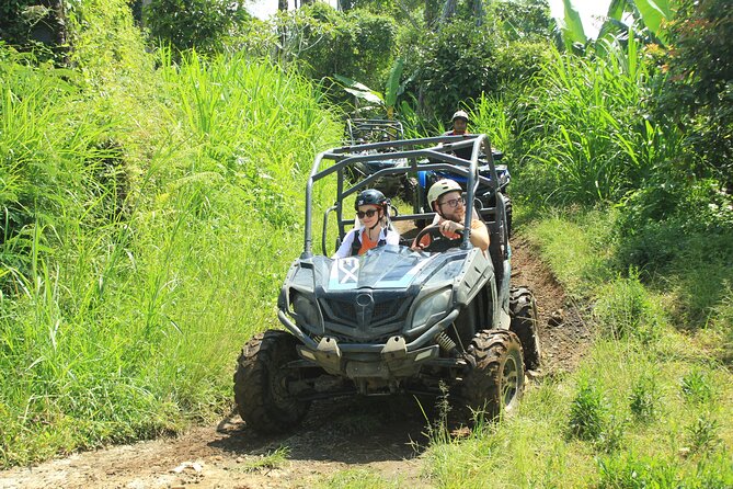Bali Quad and Buggy Discovery Tour, Including Round-Trip Transfer - Who should book this Bali adventure?
