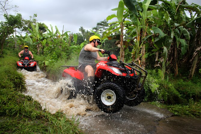 Bali Quad Bike: 2 Hours ATV Ride Adventure Activity - Rice terraces, bamboo, jungle, and village paths