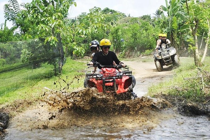 Bali Quad Bike Through Gorilla Cave - Monkey Forest and Waterfall - Who will get the most from this tour