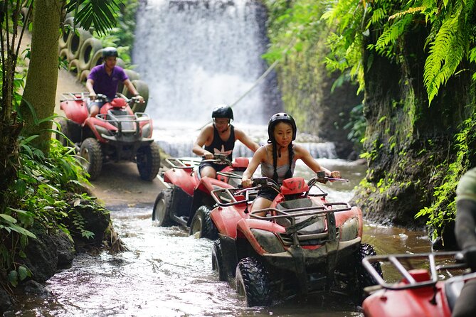 Bali Quad Bike Through Gorilla Cave - Monkey Forest and Waterfall - Starting at Alasan Adventures with a quad bike