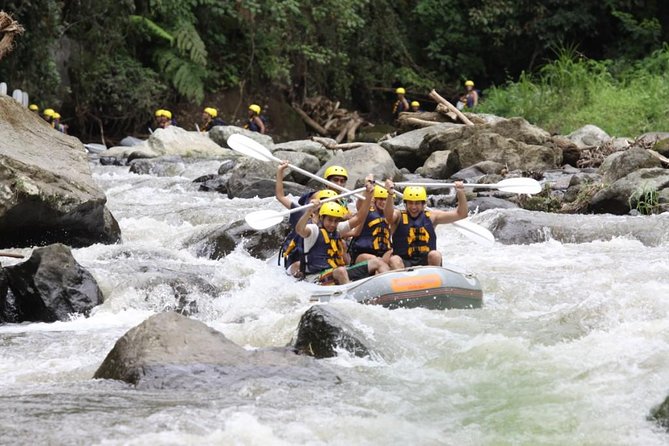 Bali Rafting Ubud with Lunch - Buffet lunch above the rice terraces