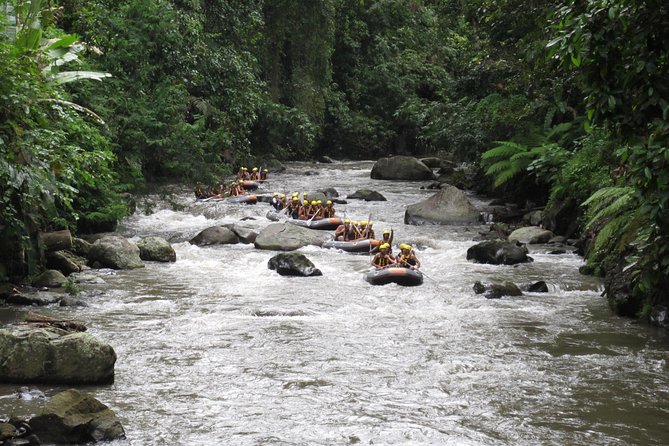 Bali Rafting Ubud with Lunch - Timing, transport, and physical effort