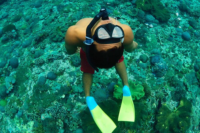 Bali Reef Cruise and Lembongan Island Day Trip - What the pontoon makes easy