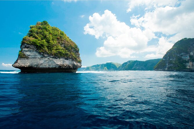 Bali Reef Cruise and Lembongan Island Day Trip - Who will enjoy this most