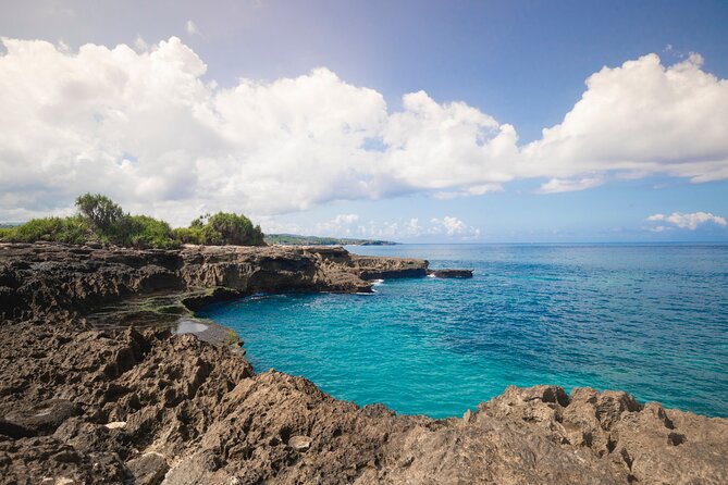 Bali Reef Cruise and Lembongan Island Day Trip - Snorkeling, coral viewing, and the underwater reality