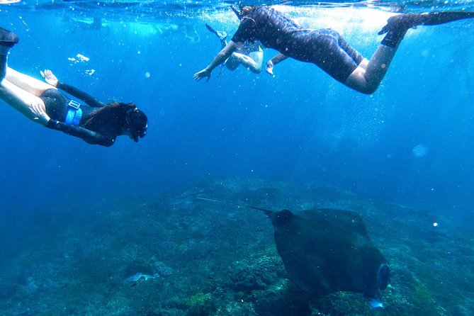 Bali Scuba Diving at Nusa Penida Manta Point For Certified Diver - Who Will Get the Most From It