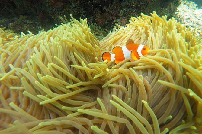 Bali Scuba Diving at Padang Bai for Certified Diver - Lunch beside the Padang Bai launch area