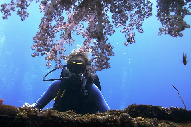 Bali Scuba Diving trip at Tulamben for Certified Diver - Why Tulamben’s USS Liberty wreck is the main event