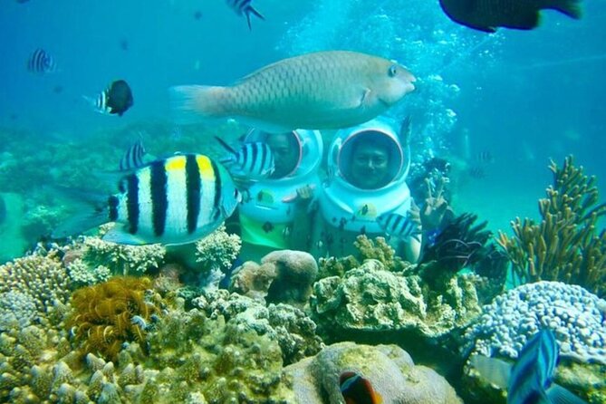 Bali Sea Walker - Key points to know before you book