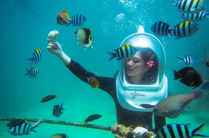 Bali Sea Walker Under Water Experience With Hotel Transfer - Coral, Fish, and the Hand-Feeding Moment