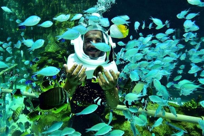 Bali Sea Walker Under Water Experience With Hotel Transfer - Who Will Enjoy This Most
