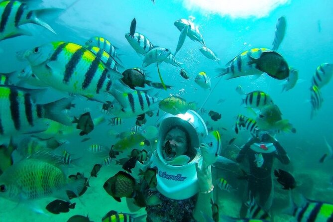 Bali Sea Walker Under Water Experience With Hotel Transfer - Booking, Weather, and Cancellation Advice