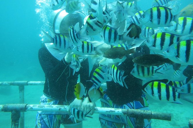 Bali Sea Walking Experience - Adding beaches, Uluwatu, Jimbaran, or Ubud
