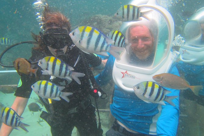 Bali Sea Walking Experience - What you actually see below the boat
