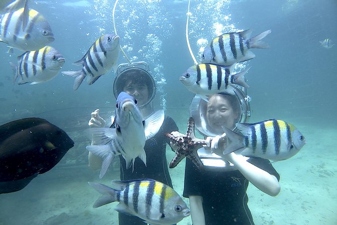 Bali Seawalker - Twenty minutes among coral and tropical fish