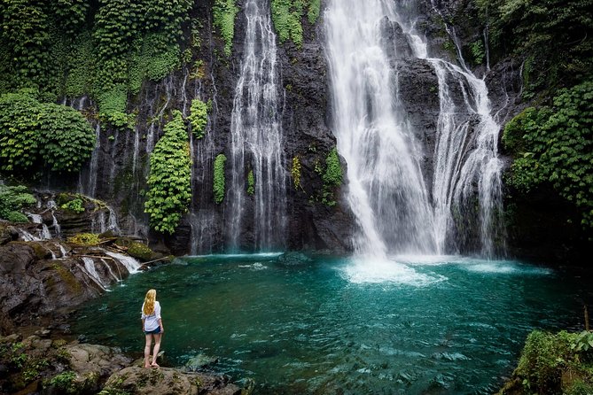 Bali Secret Waterfall Tour - Private and All-Inclusive - Temples, rice terraces, and route-side sights
