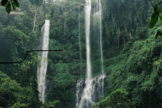 Bali Sekumpul with Fiji Waterfall & Bedugul Temple (Private Tour) - The road to Sekumpul and Fiji waterfalls