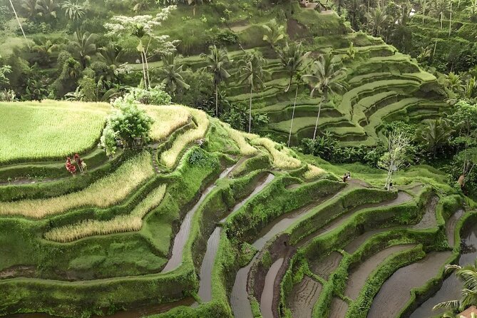 Bali Shore Excursions : Best of Bali Tour - The unnamed stops and the value of flexibility
