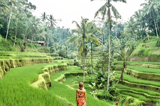 Bali Shore Excursions : Best of Bali Tour - A car-based day with useful comforts