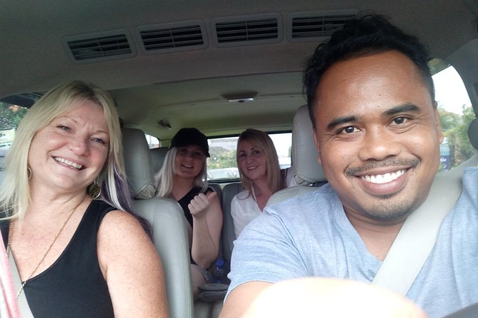 Bali Sightseeing Car Hire with English-speaking Guide and Driver - Who gets the most value from this service