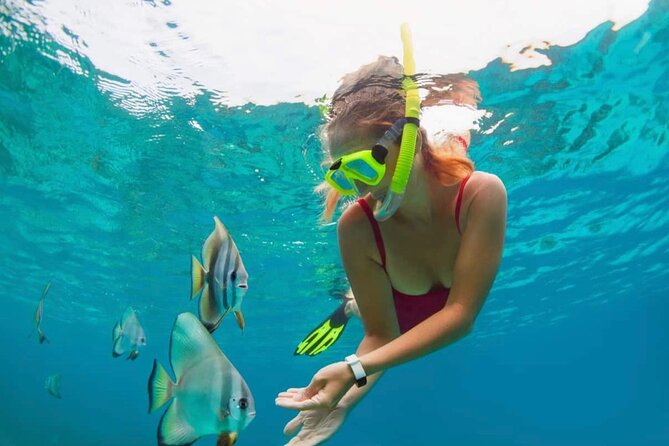 Bali Snorkeling at Blue Lagoon with Transport and Lunch - Tanjung Jepun and the limits of weather