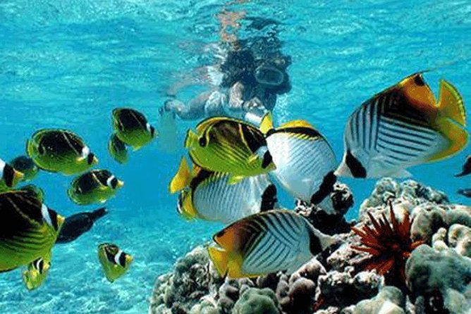 Bali Snorkeling Blue Lagoon and Tanjung Jepun All Included - Tanjung Jepun at 10:45 a.m.