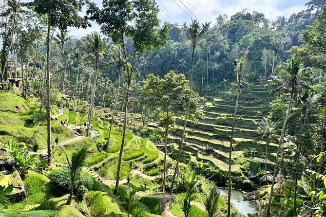 Bali Spiritual: Balinese Healing, Temple & Rice Terrace - How the $60 Price Works for You