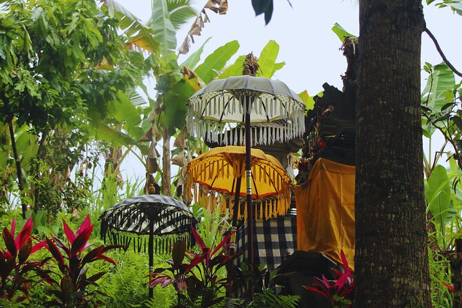 Bali Spiritual: Blessing Ceremony, Pristine Nature and Transfer - Key points to know before booking