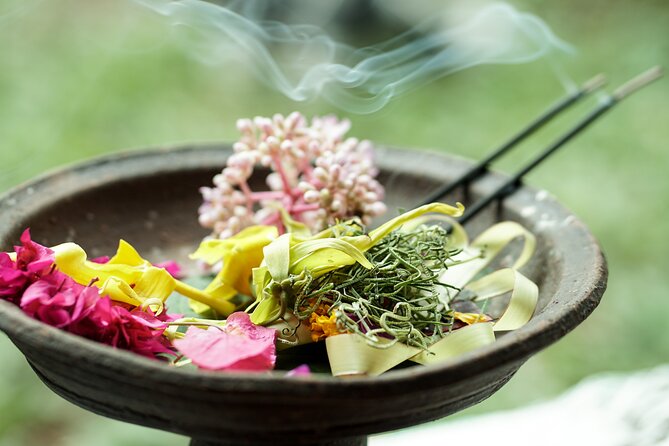 Bali Spiritual: Blessing Ceremony, Pristine Nature and Transfer - A quieter side of Bali near Mount Batukaru
