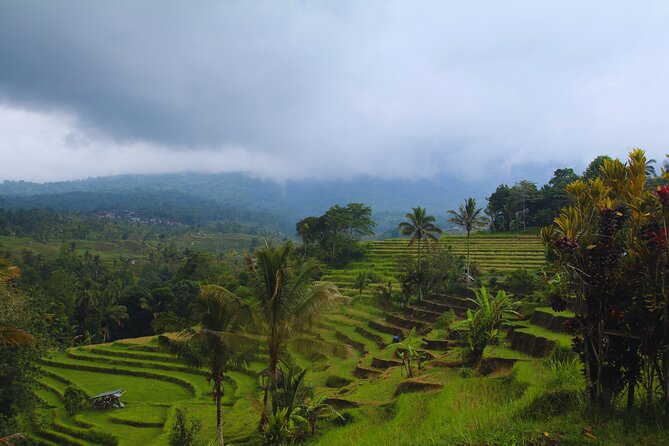 Bali Spiritual: Blessing Ceremony, Pristine Nature and Transfer - What the $115 price includes