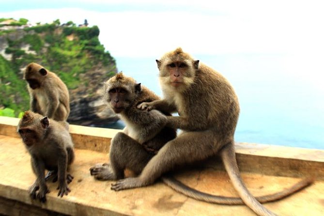 Bali Sunset: Uluwatu Temple, Kecak Dance and Jimbaran - Should you book the Uluwatu and Jimbaran tour?