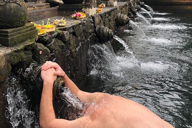 Bali Swing Hot Spring And Waterfall Private Guided Tour - Tegalalang explains Bali’s working rice fields