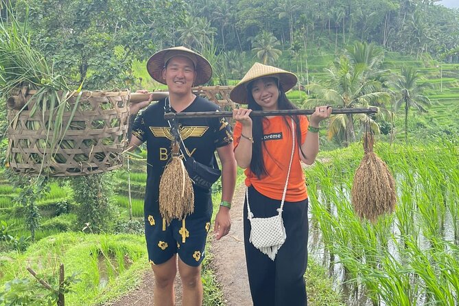 Bali Swing Hot Spring And Waterfall Private Guided Tour - Kintamani brings the volcano and lake into view