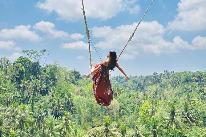 Bali Swing, Monkey Forest and Waterfall Private Tour - One long day from Seminyak to Ubud’s top sights