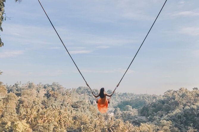 Bali Swing, Monkey Forest and Waterfall Private Tour - The Bali Swing: big photos, separate admission