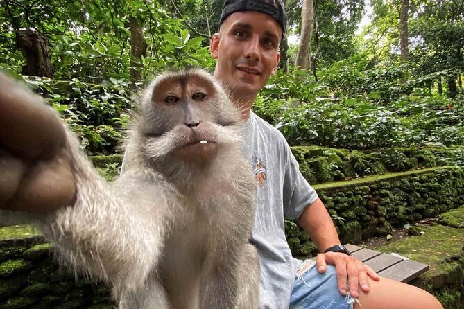 Bali Swing, Monkey Forest and Waterfall Private Tour - Who will enjoy this Bali day tour most