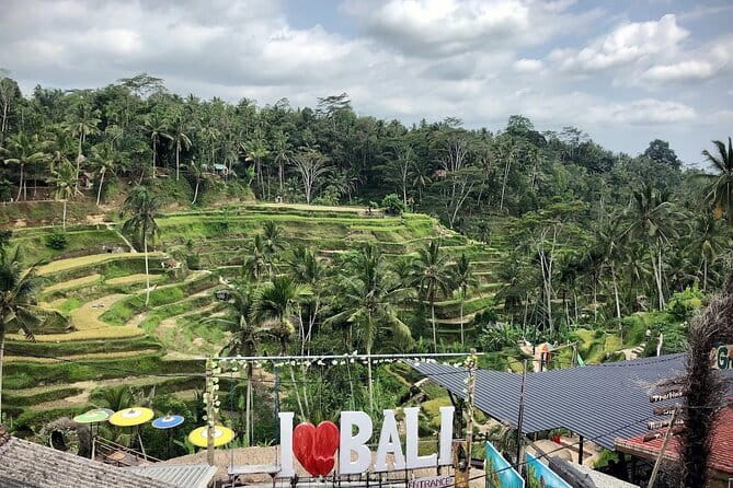 Bali Swing Packages and Kintamani Mt Batur Volcano View - Six swing setups in one forest stop