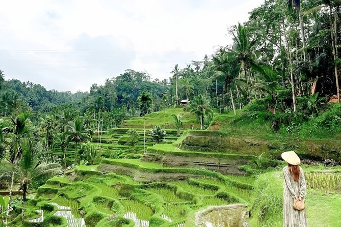 Bali Tour : Best Attractions in Ubud with Rice Terrace - Starting with two hours in Sacred Monkey Forest