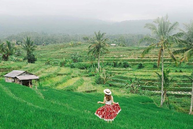 Bali Tour Package 9 Days 8 Nights - Day five: Balinese performance and Ubud