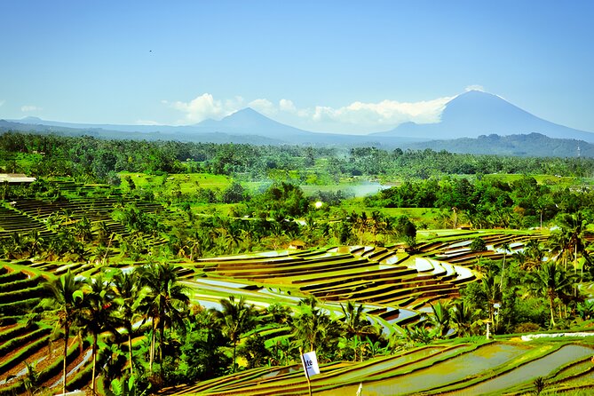 Bali Tour: The Best Way to Explore The Highlight of Bali - Indonesian lunch near Lake Beratan