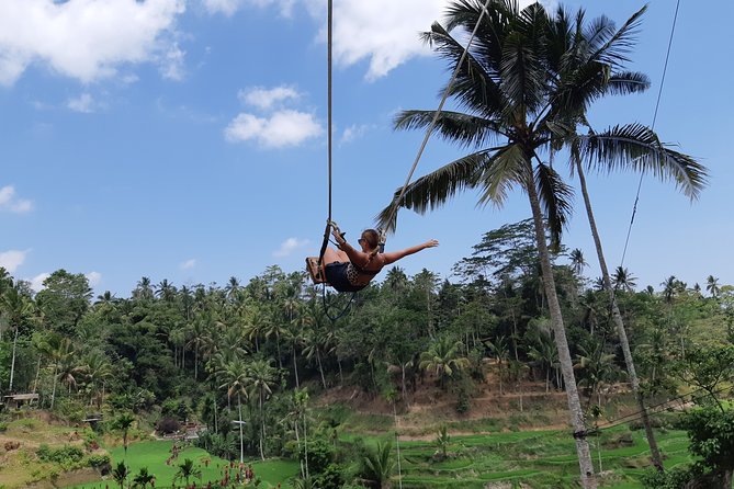 Bali Tour: Ubud Most Popular Place - Tegalalang Rice Terrace and the famous valley views