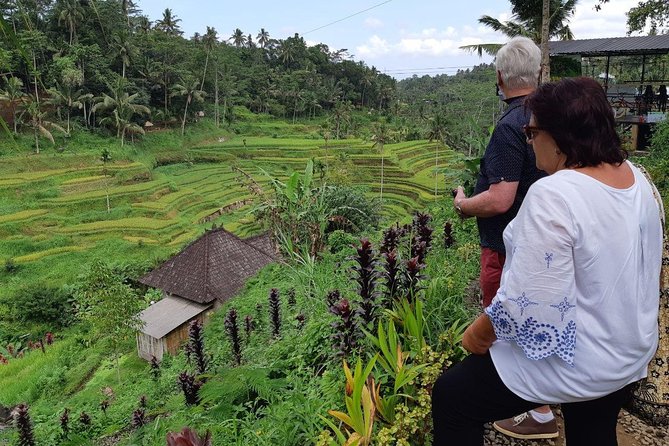 Bali Tour: Ubud Most Popular Place - Tirta Empul: the day’s most meaningful cultural stop