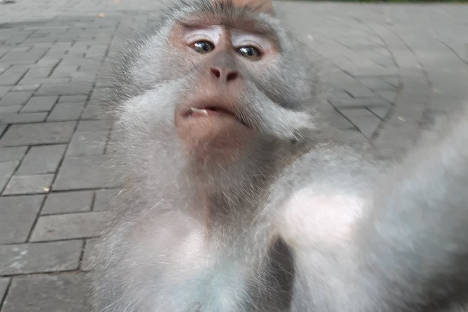 Bali Tour: Ubud Most Popular Place - Celuk Village and local silver work