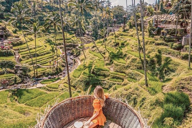 Bali: Ubud Highlights Tour with Private Guide and Transfers - A Private Car Makes the Schedule More Flexible