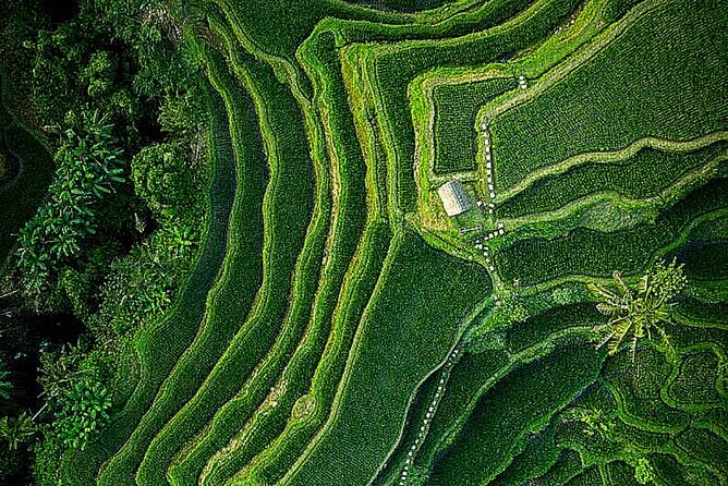 Bali: Ubud Highlights Tour with Private Guide and Transfers - Kanto Lampo Is Made for Photos
