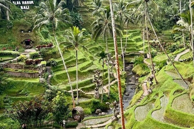 Bali Ubud Private Costomized Tour - Explore Bali your way - Sacred Monkey Forest: temples, jungle paths, and careful attention